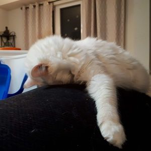 Meet your Posher, Andie